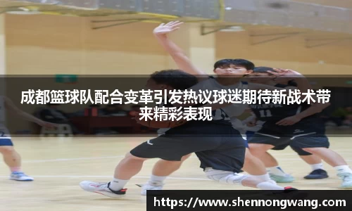 成都篮球队配合变革引发热议球迷期待新战术带来精彩表现