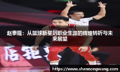 赵泰隆：从篮球新星到职业生涯的辉煌转折与未来展望