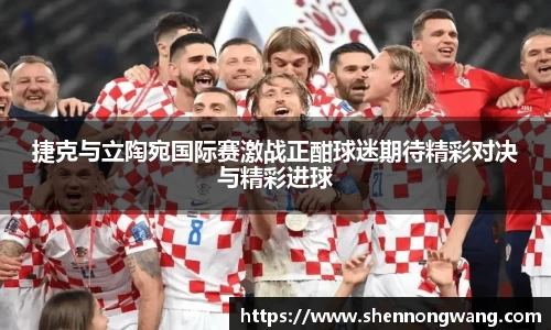 捷克与立陶宛国际赛激战正酣球迷期待精彩对决与精彩进球
