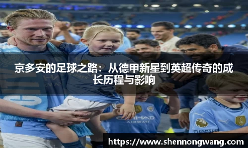 京多安的足球之路：从德甲新星到英超传奇的成长历程与影响