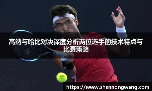 高纳与哈比对决深度分析两位选手的技术特点与比赛策略