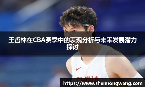 王哲林在CBA赛季中的表现分析与未来发展潜力探讨