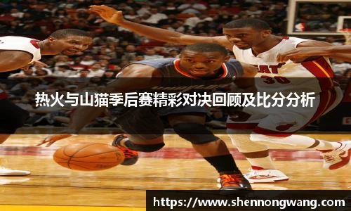 热火与山猫季后赛精彩对决回顾及比分分析